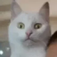 GiAnMMV