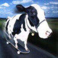 Sk8rCow